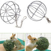 Best Sphere Feed Dispenser Hanging Ball Toy