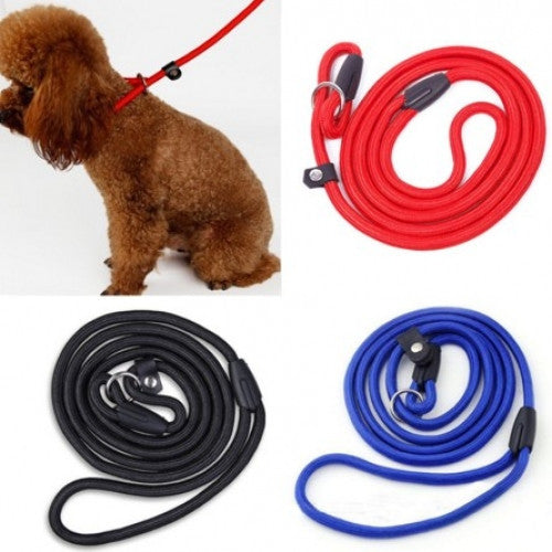 Nylon Rope Training Leash Traction Pet Collars